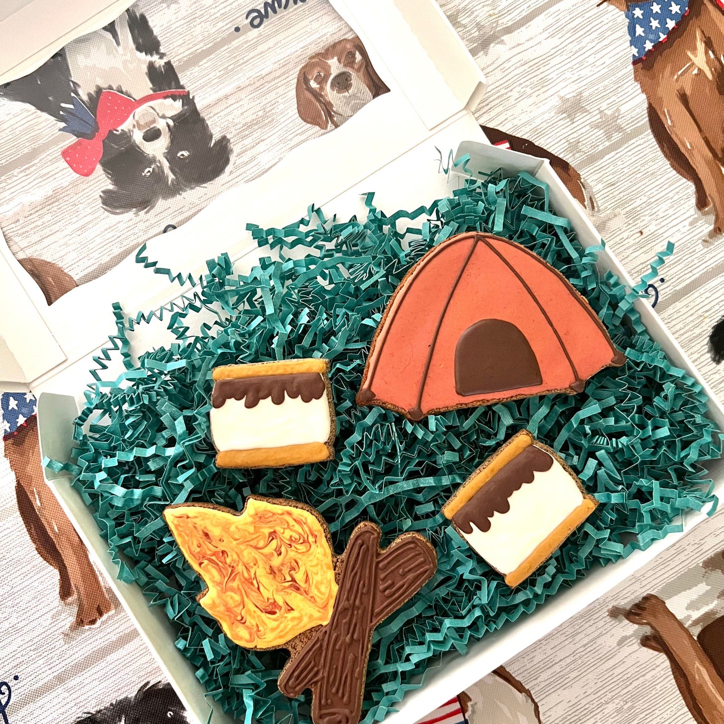 Camping S’more Set